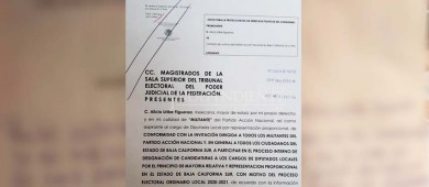 Continúa el proceso de impugnación de plurinominales del PAN encabezadas por Daniela Rubio