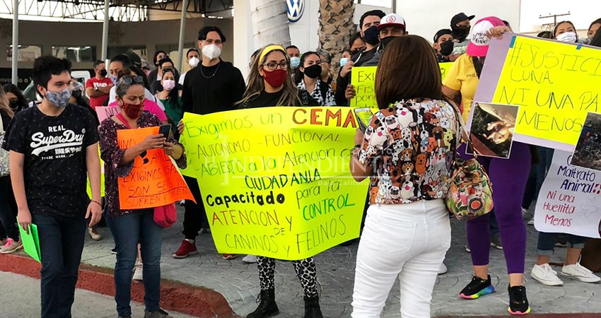 Multitudinaria marcha en La Paz para exigir justicia y castigos severos para agresores de animales