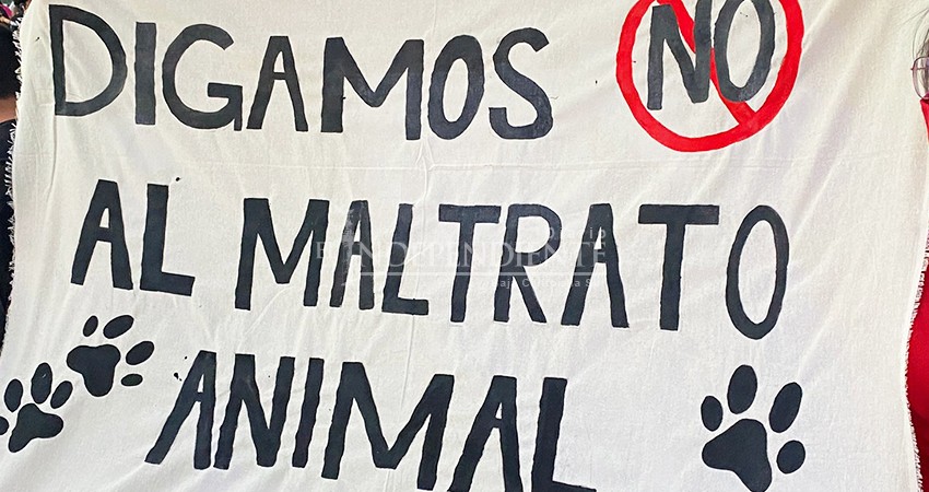 Multitudinaria marcha en La Paz para exigir justicia y castigos severos para agresores de animales