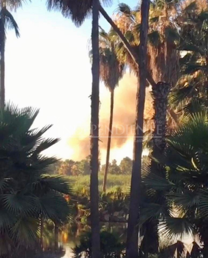 Se incendia el estero de San José del Cabo