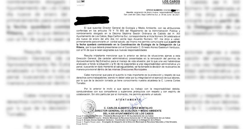 Director de Ecología Los Cabos suspende programa de protección a tortugas