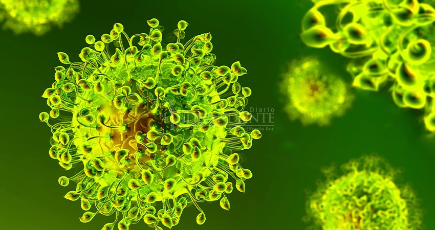 Detectan en BCS 26 casos de la variante más agresiva del Coronavirus: Delta