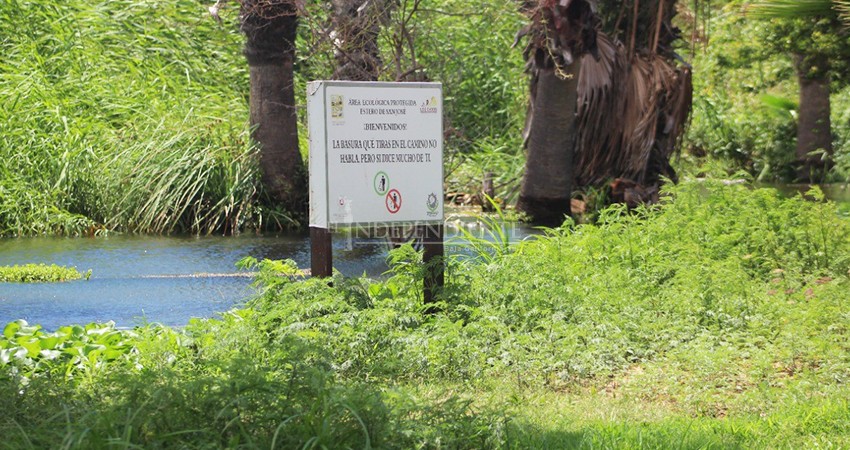 “Aunque el estero se ve recuperado, hay mucho por hacer”: regidor 