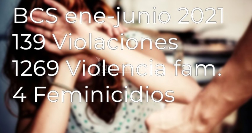 “Es comprensible” aumento de la violencia familiar debido a la pandemia: Semar