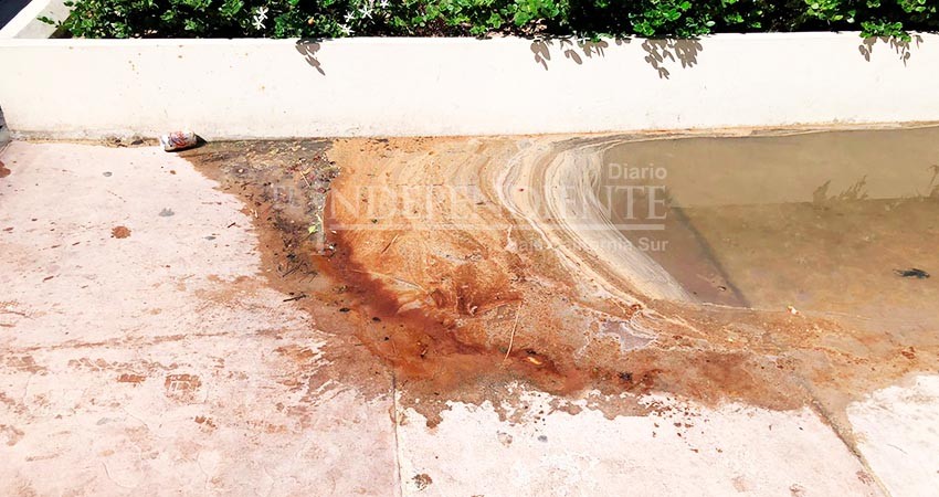 Permanente el problema de aguas negras en marina turística de CSL 