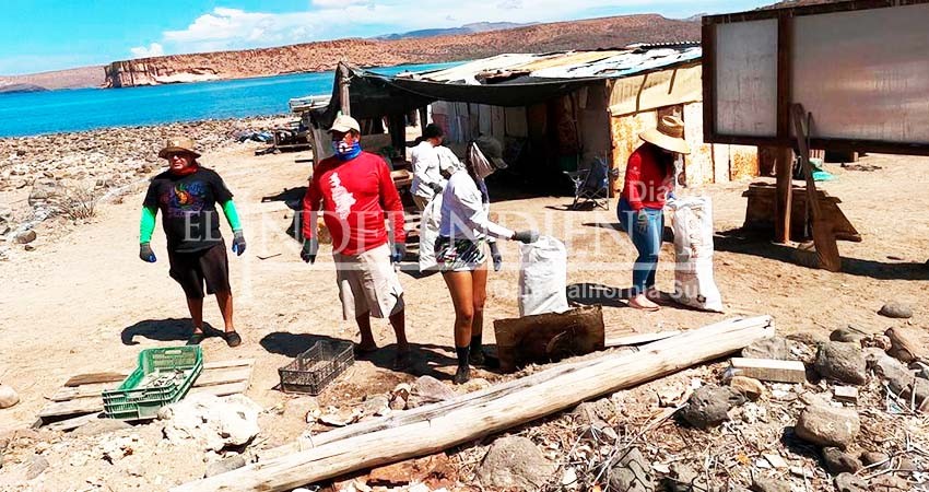 Cerca de 600 kilos de basura se recogieron en Isla Espíritu Santo