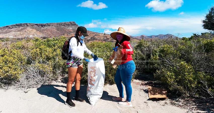 Cerca de 600 kilos de basura se recogieron en Isla Espíritu Santo