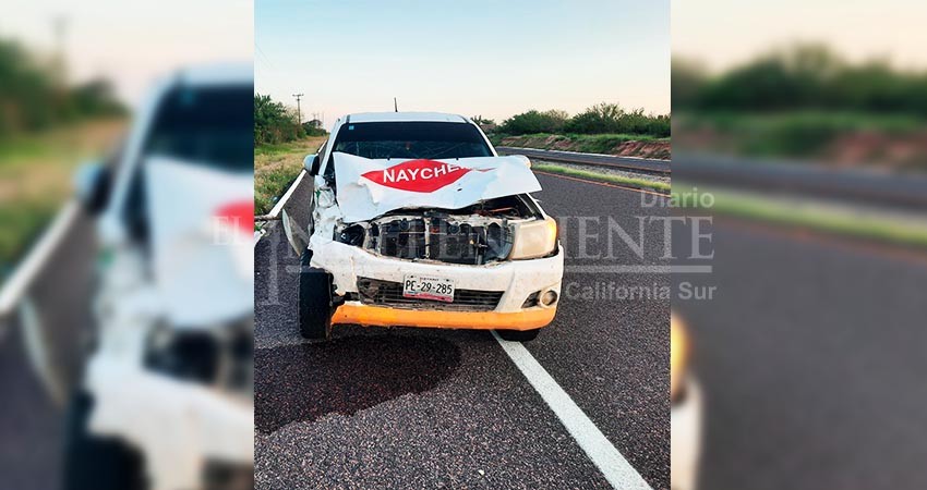 Equinos provocan aparatoso accidente vial