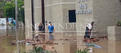 Olaf provoca socavón en la Transpeninsular e inundación del IMSS No.6 en SJC