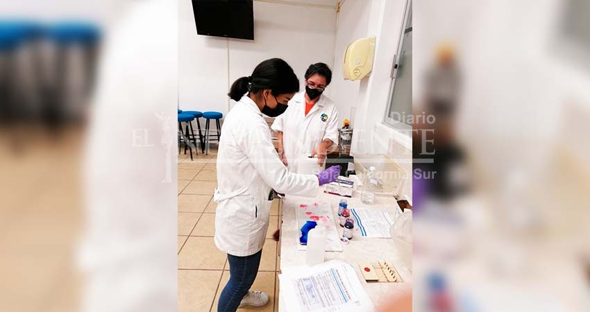 Inicia UABCS con sus primeras prácticas académicas presenciales