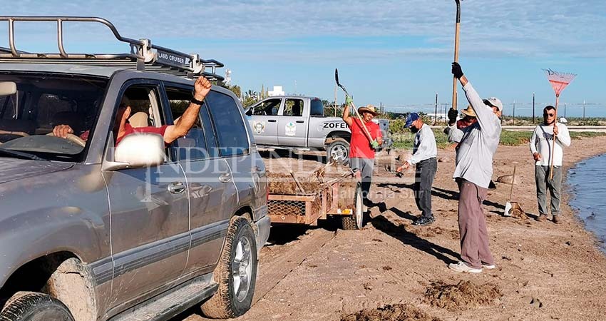 Derrame de diésel en El Comitán requirió la remoción de 4 tons. de suelo costero contaminado: ZOFEMAT