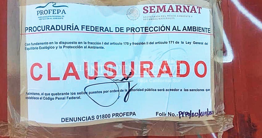 Clausura PROFEPA obras en playa pública de El Sargento, ZOFEMAT garantiza acceso