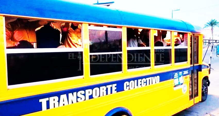 Más de 90 mil ciudadanos utilizan el transporte público en La Paz 