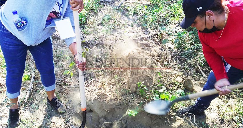 Siguen “apareciendo” restos humanos en San José del Cabo