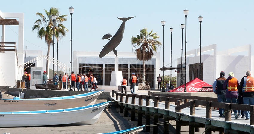 Inician actividades de avistamiento de ballena gris en Laguna Ojo de Liebre