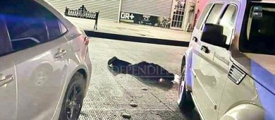 Realiza Predel jornada de proximidad social en apoyo a personas violentadas en La Paz