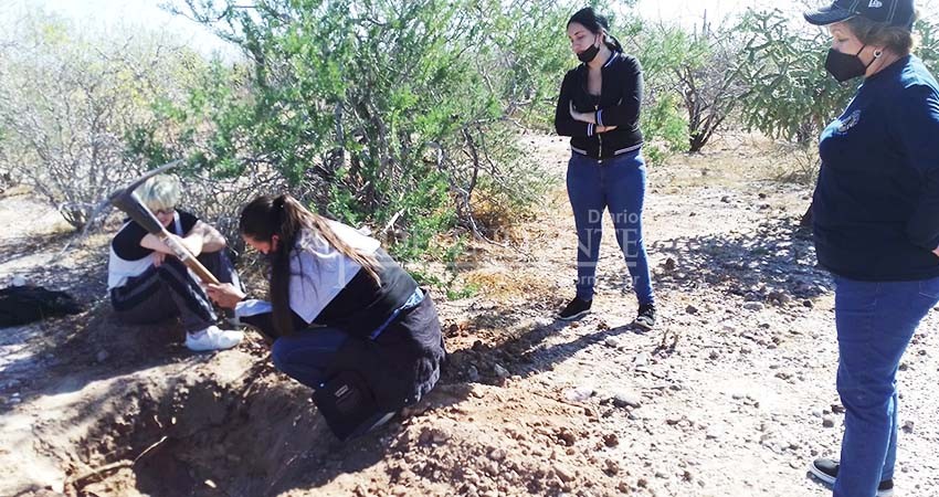 Establecen nuevo calendario de búsqueda Colectivos de Búsqueda de Desaparecidos en BCS