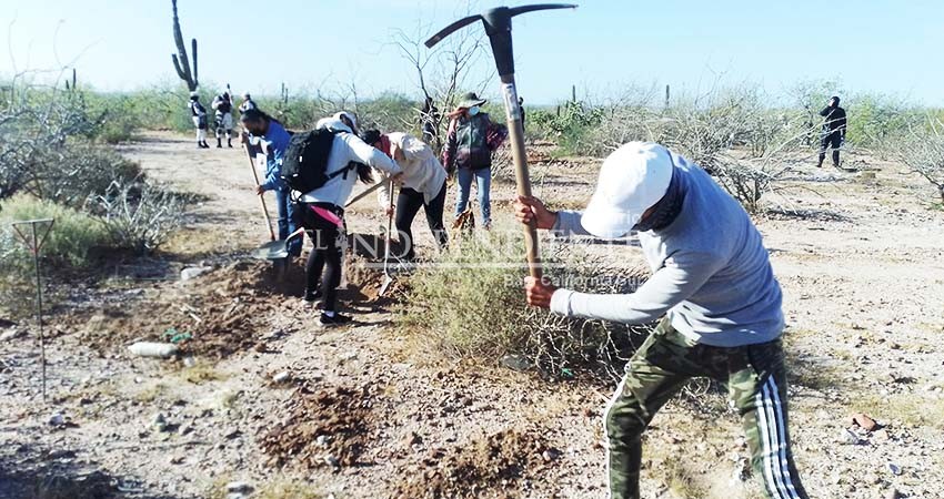 Establecen nuevo calendario de búsqueda Colectivos de Búsqueda de Desaparecidos en BCS