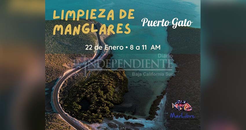 De nueva cuenta “Mar libre” limpiará manglares de La Paz