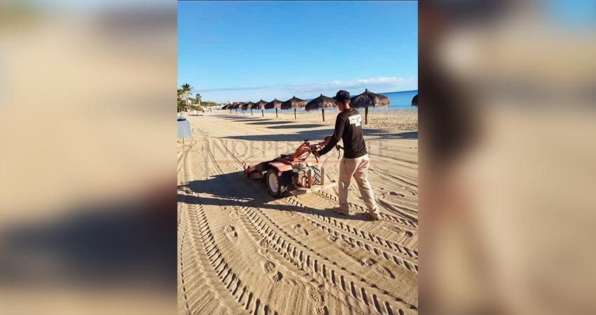 Prepara Zofemat Los Cabos diversas actividades para conmemorar el “Día Mundial de la Educación Ambiental” 