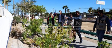 Advierte SEPUIMM que trabaja para garantizar infraestructura vial inclusiva en BCS