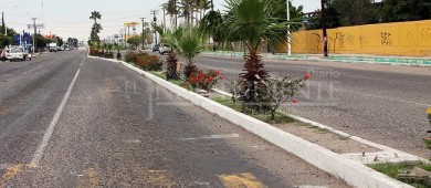 Advierte Castro Cosío  del abandono en infraestructura urbana de BCS por pasadas administraciones