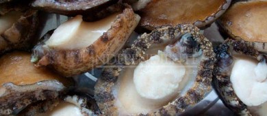 Tras 2 años, se reactiva pesquería de abulón en BCS