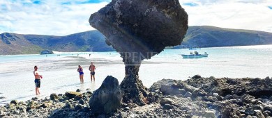 Ayuntamiento de La Paz interviene para recuperar paso a playas de La Paz