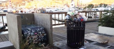 Se quejan empresarios por exceso de basura en la Marina Sanluqueña