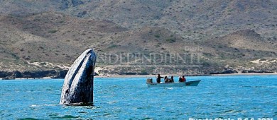 Busca alcaldesa de La Paz construir un malecón en Puerto Chale; requiere más de 30 mdp