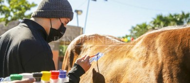 ¡Primero la salud de quien más lo requiere! En Los Cabos, se facilitan equinoterapias a la niñez con discapacidad intelectual