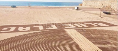 ¡Primero la salud de quien más lo requiere! En Los Cabos, se facilitan equinoterapias a la niñez con discapacidad intelectual