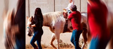 Servicios IMDIS Los Cabos siguen a disposición de quien lo requiera; la meta es garantizar seguridad y bienestar de personas con discapacidad    10