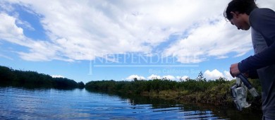 Realizan estudio en UABCS para determinar estado de conservación y manejo de manglares en BCS