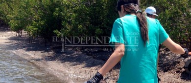 Realizan estudio en UABCS para determinar estado de conservación y manejo de manglares en BCS