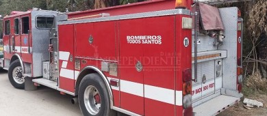 Cayó al cortar cuerda-sostén cuando podaba una palma en El Pescadero