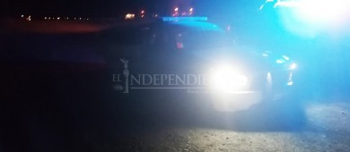 Ganado sueldo sigue causando accidentes en carretera federal