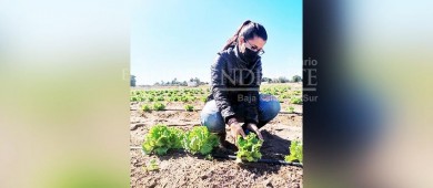 UABCS conmemora el Día del Ingeniero Agrónomo