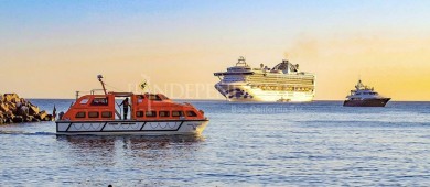 Cruceros también tienen derecho a defenderse técnica y científicamente: Castro Cosío