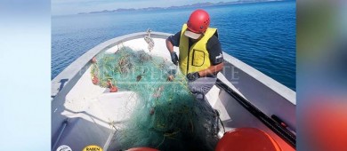 RABEN libera otra ballena de redes de pesca