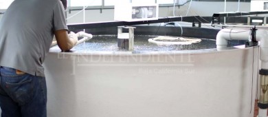 Convocan a una edición más de la Semana de Posgrado en BCS