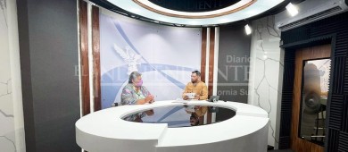 Secretaría de Finanzas no ve “argumento” detrás de la iniciativa de Senador morenista para eliminar APIBCS