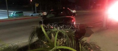 Se le “atravesó” una palma y la derribó con su auto