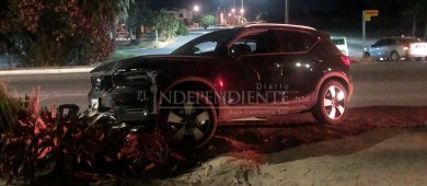 Se le “atravesó” una palma y la derribó con su auto
