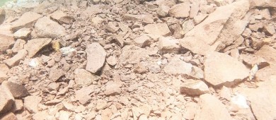 Cuantifica PROFEPA daño por Yate de Lujo en corales protegidos de Isla Danzante