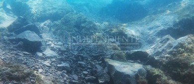 Cuantifica PROFEPA daño por Yate de Lujo en corales protegidos de Isla Danzante