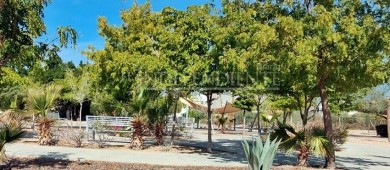 Subasta SHCP parque en El Conchalito