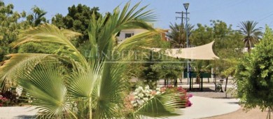 Subasta SHCP parque en El Conchalito