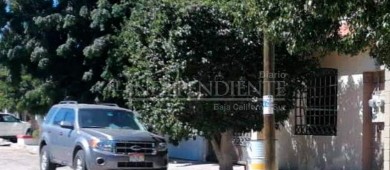 Vecinos de El Conchalito se quejan del Predel por no atender denuncia de maltrato animal