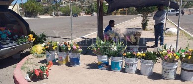 Negocio redondo; vende flores en el panteón, luego se las roba para revenderlas